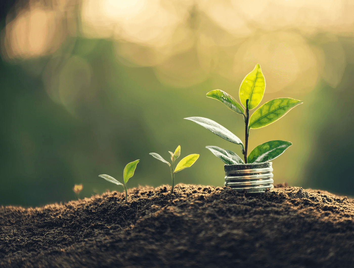 Engineering a Greener Future